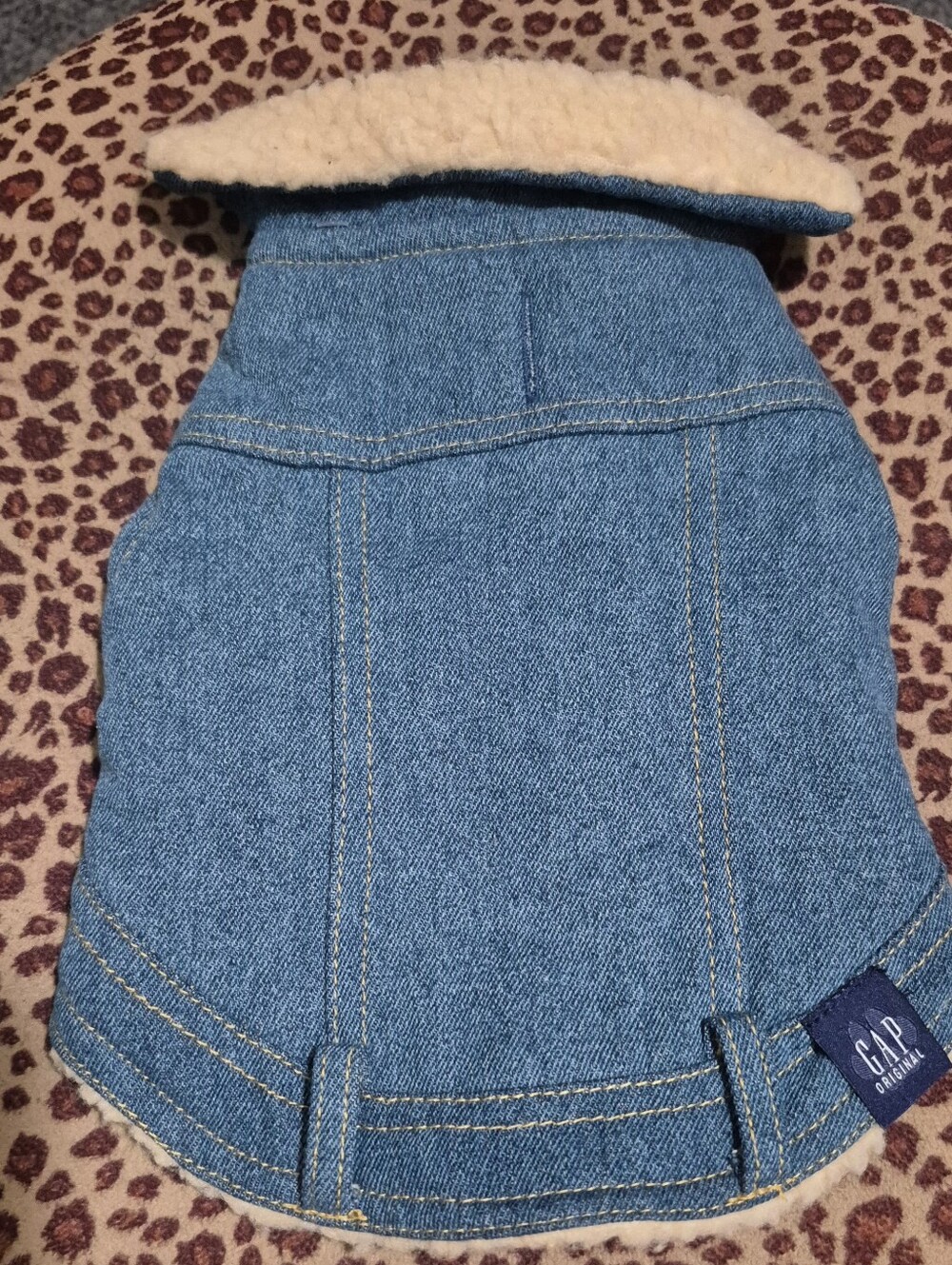 GAP Blue Denim Dog Jacket with Cream Sherpa Collar